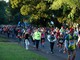 YOUR FEBRUARY COMRADES MARATHON QUALIFIERS